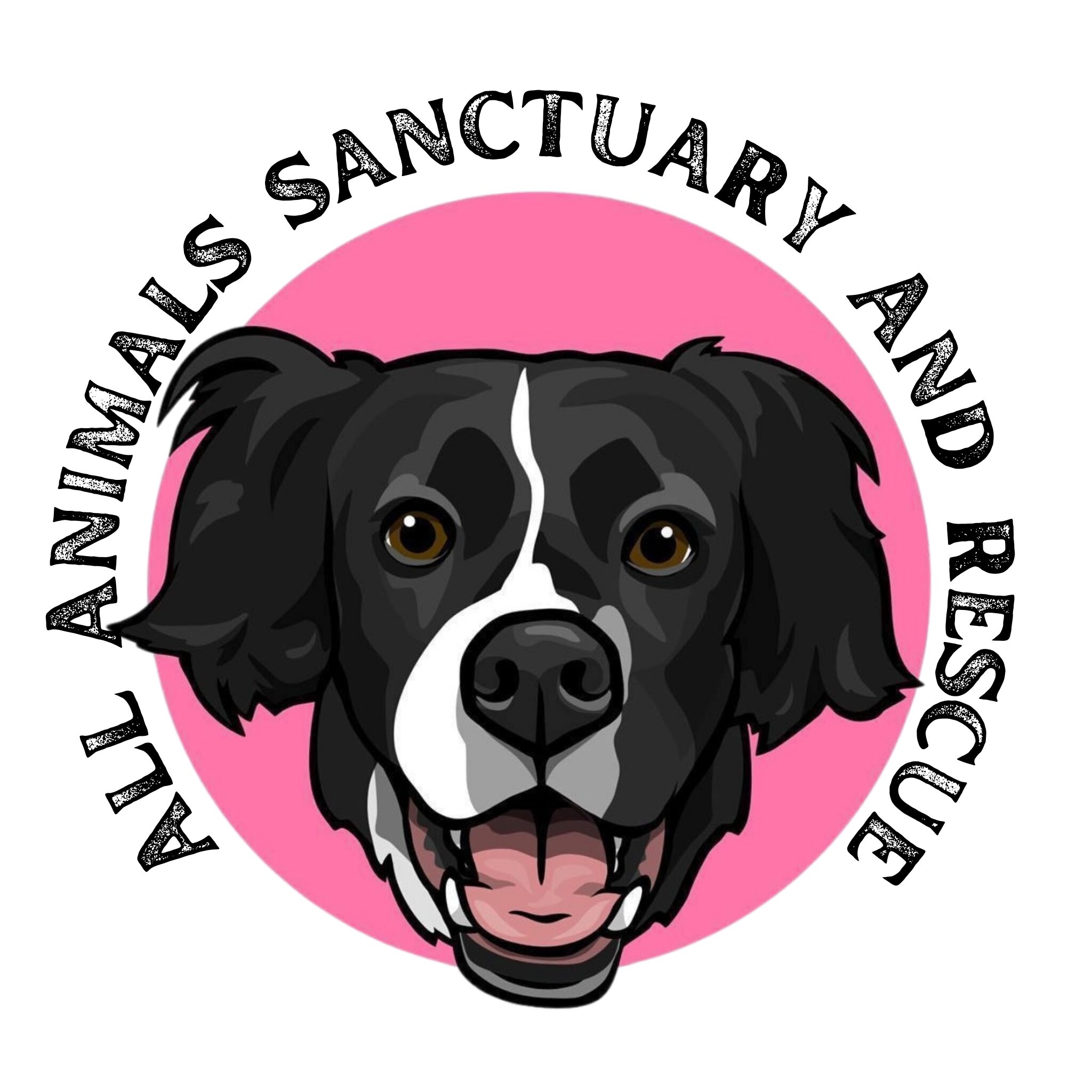 All Animals Sanctuary and Rescue