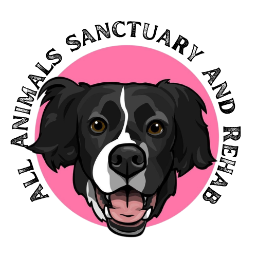 All Animals Sanctuary and Rescue